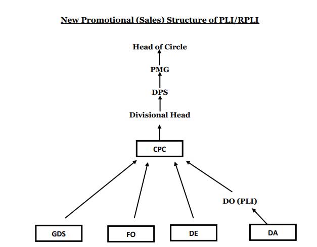 New Promotional Structure of PLI  RPLI